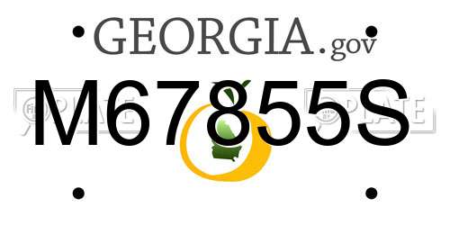 M67855S Georgia License Plate