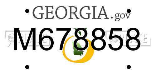 M678858 Georgia License Plate
