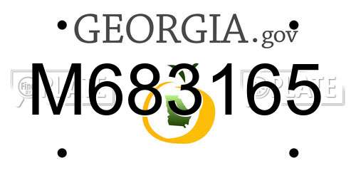 M683165 Georgia License Plate
