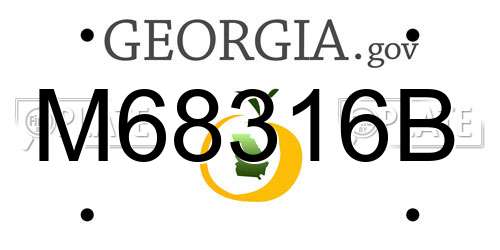 M68316B Georgia License Plate