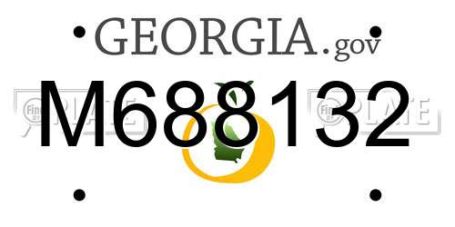 M688132 Georgia License Plate
