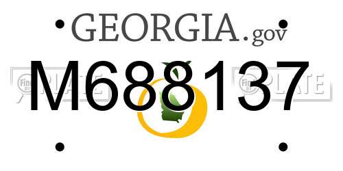 M688137 Georgia License Plate