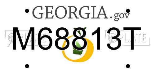 M68813T Georgia License Plate