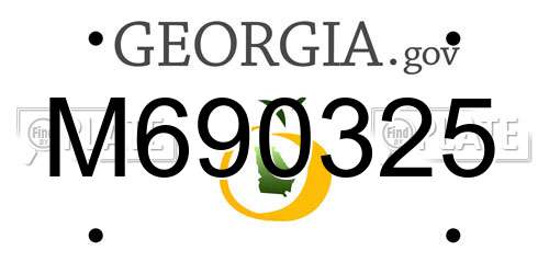 M690325 Georgia License Plate