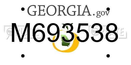 M693538 Georgia License Plate