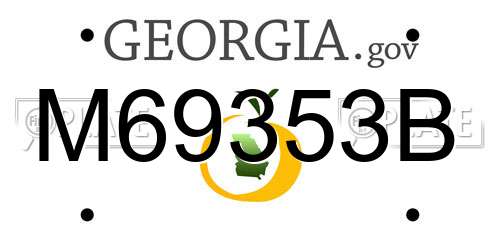 M69353B Georgia License Plate