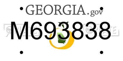 M693838 Georgia License Plate