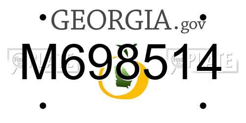 M698514 Georgia License Plate