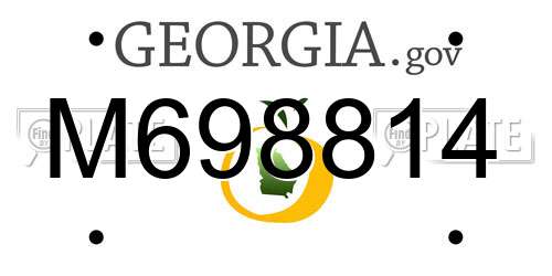 M698814 Georgia License Plate