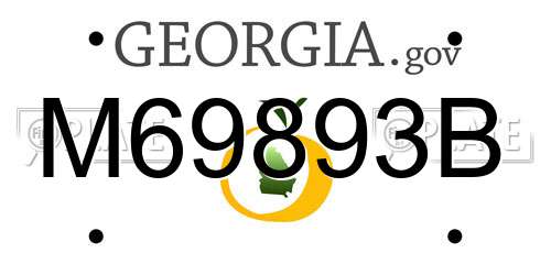M69893B Georgia License Plate