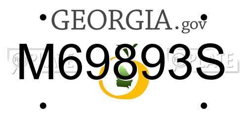 M69893S Georgia License Plate