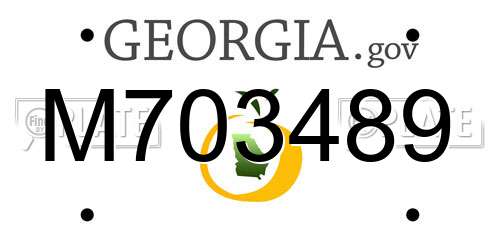 M703489 Georgia License Plate