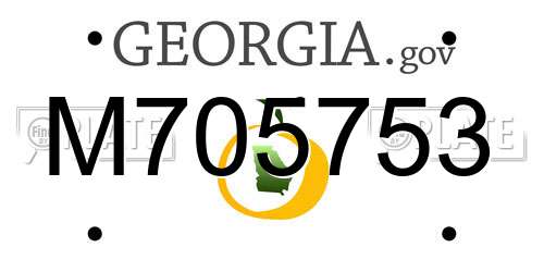 M705753 Georgia License Plate