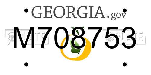 M708753 Georgia License Plate