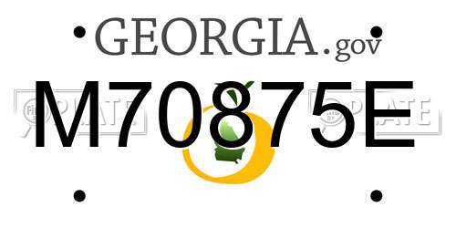 M70875E Georgia License Plate