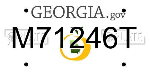 M71246T Georgia License Plate