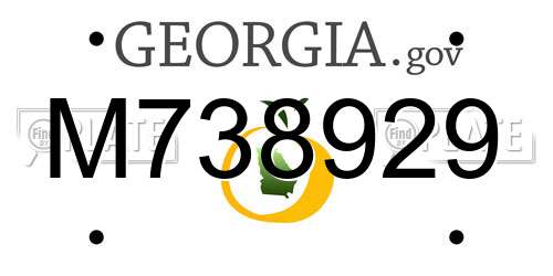 M738929 Georgia License Plate