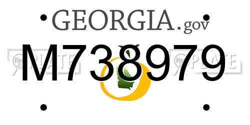 M738979 Georgia License Plate