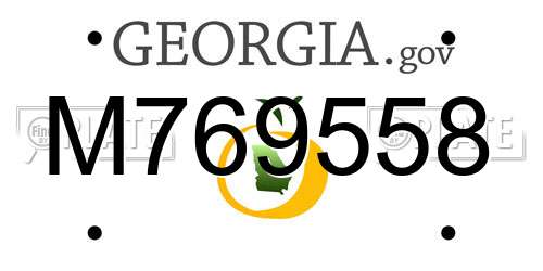 M769558 Georgia License Plate