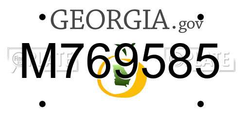 M769585 Georgia License Plate
