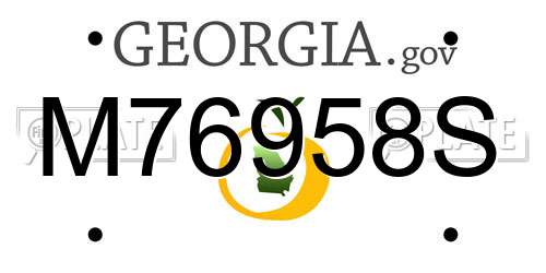 M76958S Georgia License Plate
