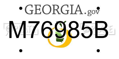 M76985B Georgia License Plate