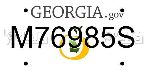 M76985S Georgia License Plate