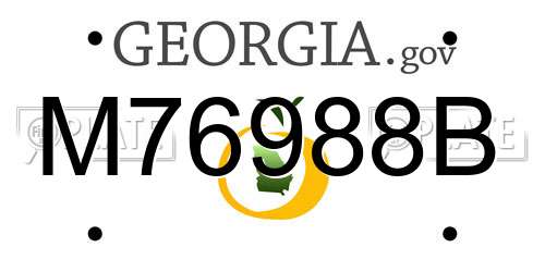 M76988B Georgia License Plate