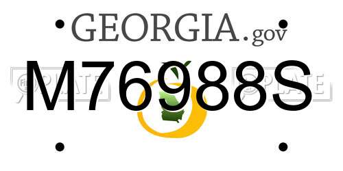 M76988S Georgia License Plate