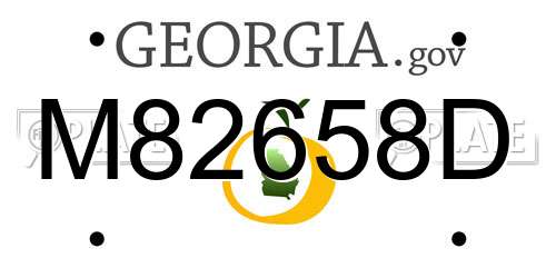M82658D Georgia License Plate
