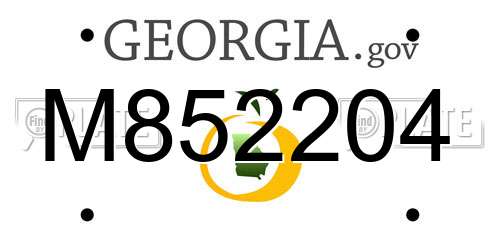 M852204 Georgia License Plate