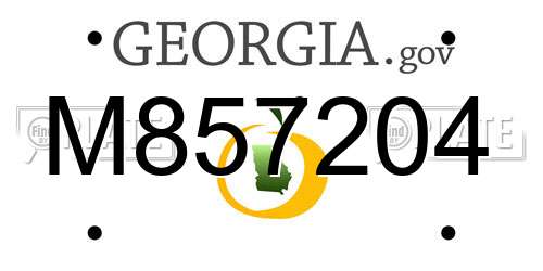 M857204 Georgia License Plate