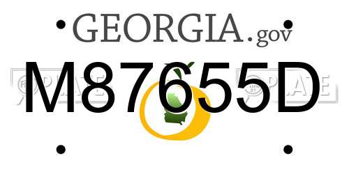 M87655D Georgia License Plate