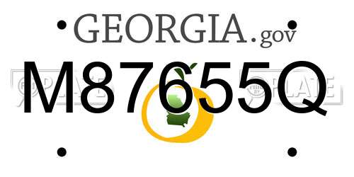 M87655Q Georgia License Plate