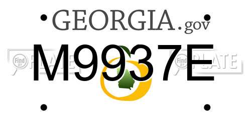 M9937E Georgia License Plate