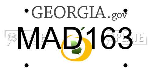 MAD163 Georgia License Plate