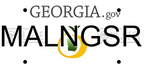 MALNGSR Georgia License Plate