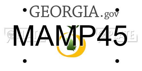 MAMP45 Georgia License Plate