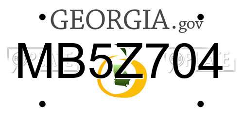 MB5Z704 Georgia License Plate