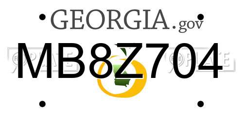 MB8Z704 Georgia License Plate