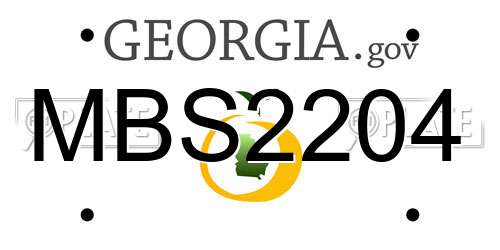 MBS2204 Georgia License Plate