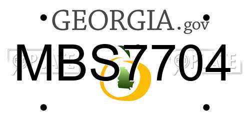 MBS7704 Georgia License Plate