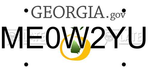 ME0W2YU Georgia License Plate