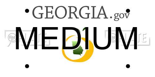 MEDIUM Georgia License Plate