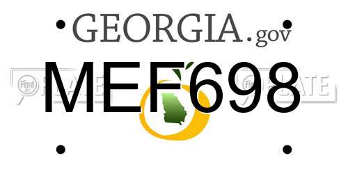 MEF698 Georgia License Plate