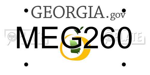 MEG260 Georgia License Plate