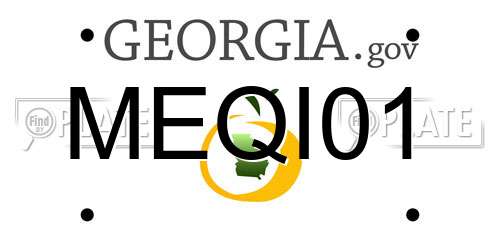 MEQI01 Georgia License Plate
