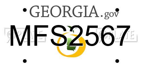 MFS2567 Georgia License Plate