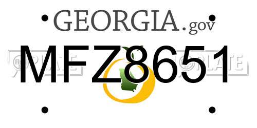 MFZ8651 Georgia License Plate