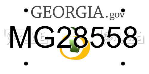 MG28558 Georgia License Plate